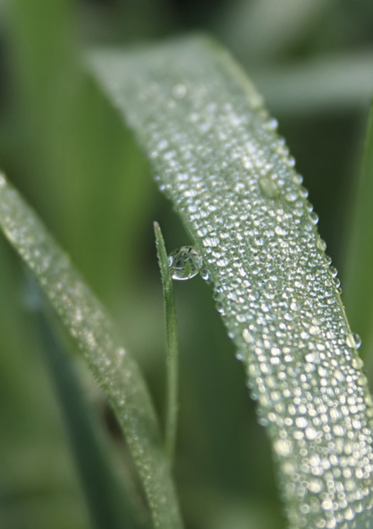 Naturfotografie